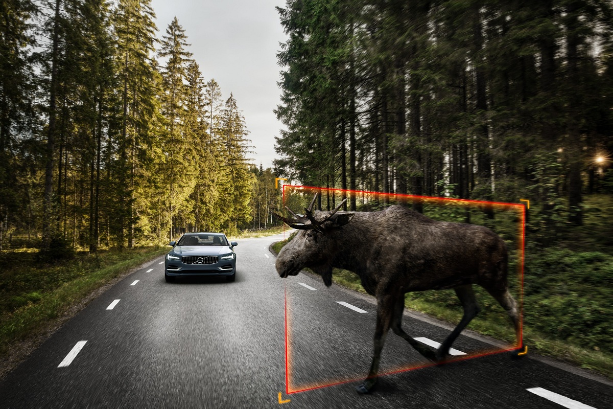 171459 Exterior Large Animal Detection Volvo S90 1