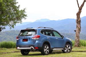 「SUBARU新春健檢活動」，36項全方位免費健檢！