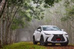 承擔品牌電氣化先驅重任,2022 Lexus NX450h+ 豪華版