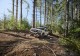 更狂野的選擇，Subaru Forester Wilderness 第六世代車型芝加哥車展亮相！