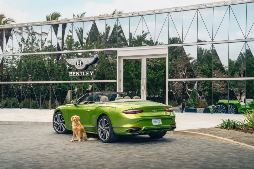 Bentley Residences無與倫比的設施揭幕！即使是寵物也能享受五星級住宿