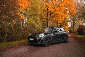 MINI WINTER CARE冬季健診活動 八大項免費檢查