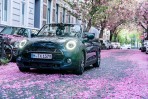 櫻花與MINI Convertible Sidewalk告訴大家春天來了!